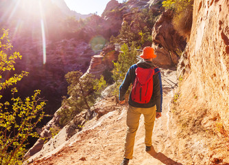 Hike in Zion