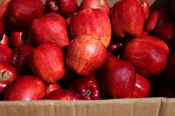 red apples in wooden crate