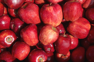 Fresh ripe red apples as background. Pile of red apples