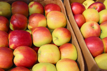 Still life with apples. A group of beautiful ripe apples lie evenly close up