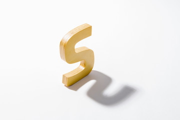 Wooden Alphabet S and Shadow Reflection.
