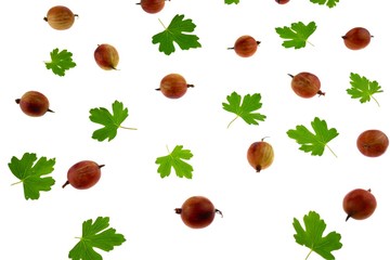 gooseberry berry pattern.  brown gooseberry berries and green leaves isolated on white background