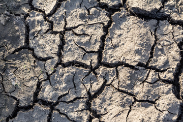 Surface of cracked earth for texture background, dried clay.