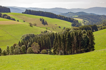 Obraz premium Black Forest in Bavaria, Germany. Untouched nature with mountains, forests and deep-sea lakes and enchanting countries. Paesaggi nella zona di Gutach.