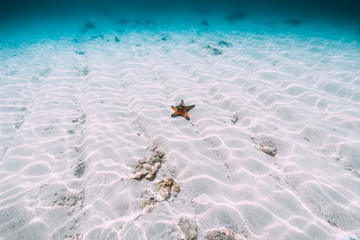 Tropical sea in underwater. Blue water and sand in Bahamas islands