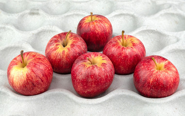 apple fruit closeup isolated on white background