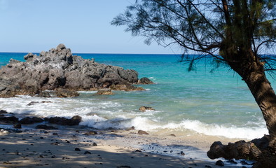 Beautiful kiawe trees framing serenity of Waialea  beach