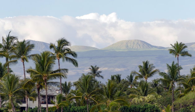 Resort In Waikoiloa With Mauna Kea In Background