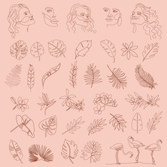 Set of abstract tropical elements, shapes and girl portrait in one line style. Illustration in minimalistic style. Editable vector illustration