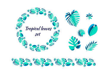 Set of different tropical leaves. 