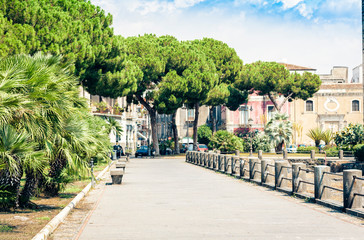 Palm tree alley near famous landmark Castello Ursino, ancient castle in Catania, Sicily, Southern Italy