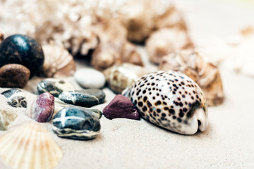 Seashells and stones on the sand, summer beach background travel concept with copy space for text.