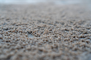 The floating groove of the habitat of Horn-eyed ghost crab or Ocypode on the white sand by the sea