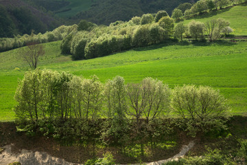 paesaggio