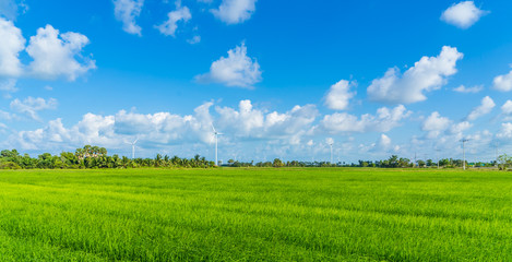 Green technology concept. Wind generators in field at Hua Sai District,  Nakhon Si Thammarat Province, Thailand