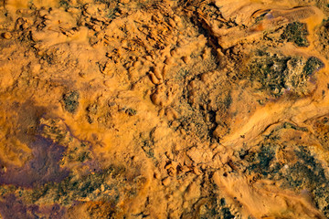 glittering golden alluviums along the polluted river