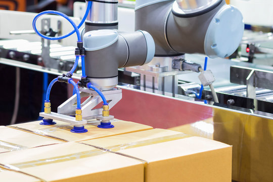 The Robot Arm Transfers Carton Box  To Conveyor Line