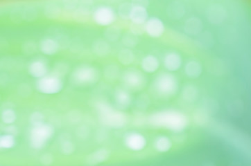 Obraz premium Bokeh lights with water buble on green leaf for nature backgrounds and texture