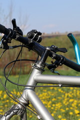 Fototapeta na wymiar Bicycle stands in the spring glade. Dandelions are blooming.