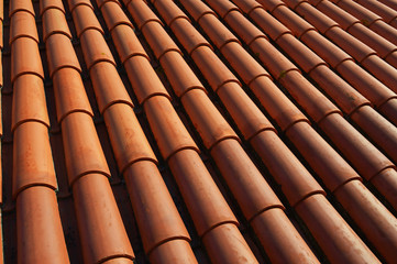 Tiled roofs of the famous Monastery Saint Vicente de Fora in Lis