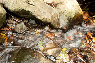 waterfall in the forest Beautiful nature