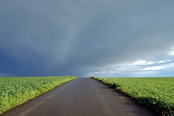 Fototapeta na wymiar road in the middle of green fields or grassland