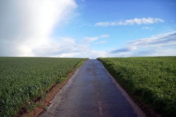 road in the middle of green fields or grassland