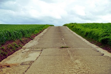 road in the middle of green fields or grassland