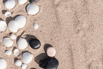 Fototapeta na wymiar White seashells and pebbles on sea sand - summer travel background, copy space