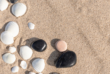 White seashells and pebbles on sea sand - summer travel background, copy space
