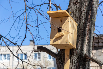 Birdhouse on tree