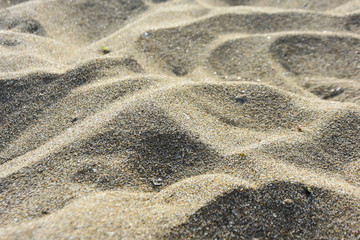 Fototapeta na wymiar Summer beach background. Sand and sea