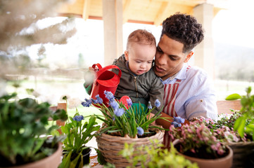 Father and small toddler son indoors at home, watering flowers.