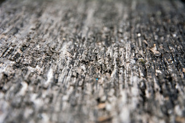 Wood blurred texture background.