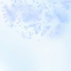 Light blue flower petals falling down. Pleasing ro