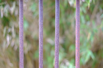 Hinter Gitter im Gefängnis