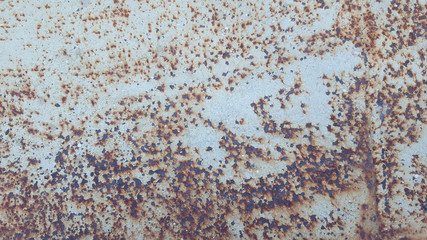 texture of the old blue paint on rusty metal wall-images  