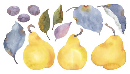 Ready to use set of vibrant juicy watercolor illustrations of ripe yellow pears, green, violet and yellowish green leaves and abstract blueberries