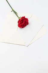Mother's day gifts, carnations and CARDS