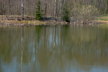 landscape -  spring  river