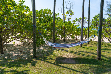 Tropical beach with hammock under the palm trees in sunlight