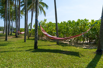 Tropical beach with hammock under the palm trees in sunlight