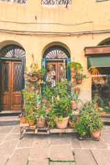Fototapeta na wymiar Picture of Tuscan Houses with plants and flowers.
