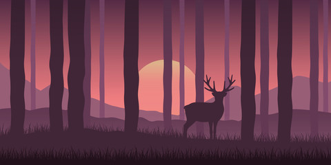 lonely wildlife reindeer in the forest purple nature landscape at sunshine vector illustration EPS10