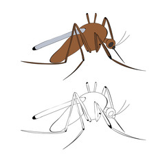 vector, isolated, insect mosquito brown, with a sketch