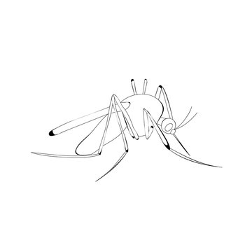  mosquito, lines, icon