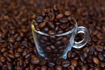 Small glass cup with fragrant roasted coffee beans on a contrasting coffee background