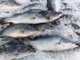 fresh fish for sale in the supermarket.