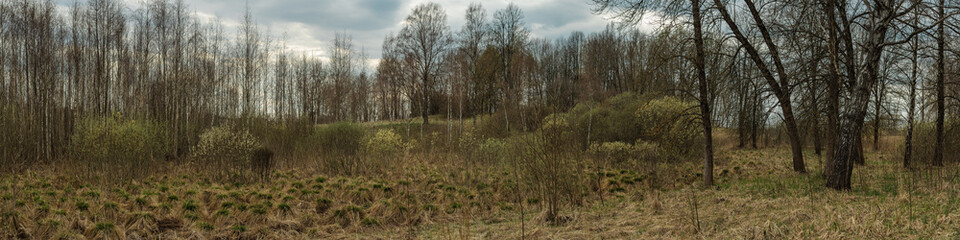 Obraz na płótnie Canvas spring landscape. beautiful panoramic view of hilly light forest and dry swamp on an overcast day