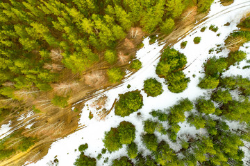 Many old roads in the forest appeared from under the snow in spring. Drone's aerial view